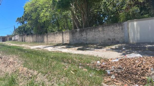Terreno