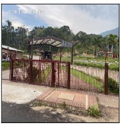 Terreno