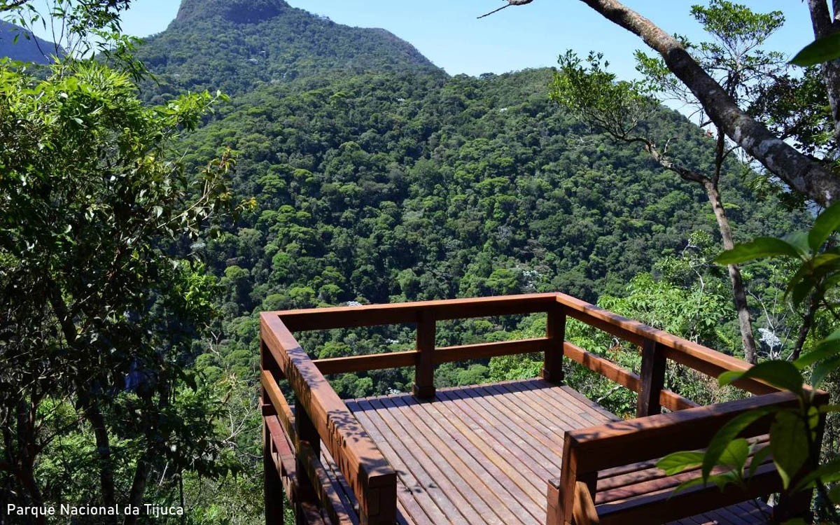 Tijuca um bairro que cresce sem perder sua identidade